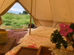 Bluebell bell tent in The Broads National Park
